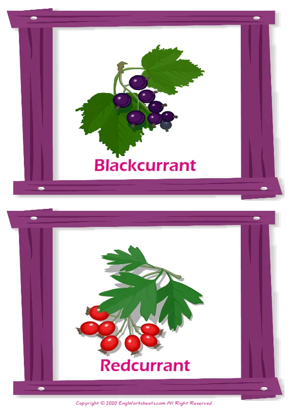 Fruits vocabulary worksheet with words, two images per page Worksheet Preview