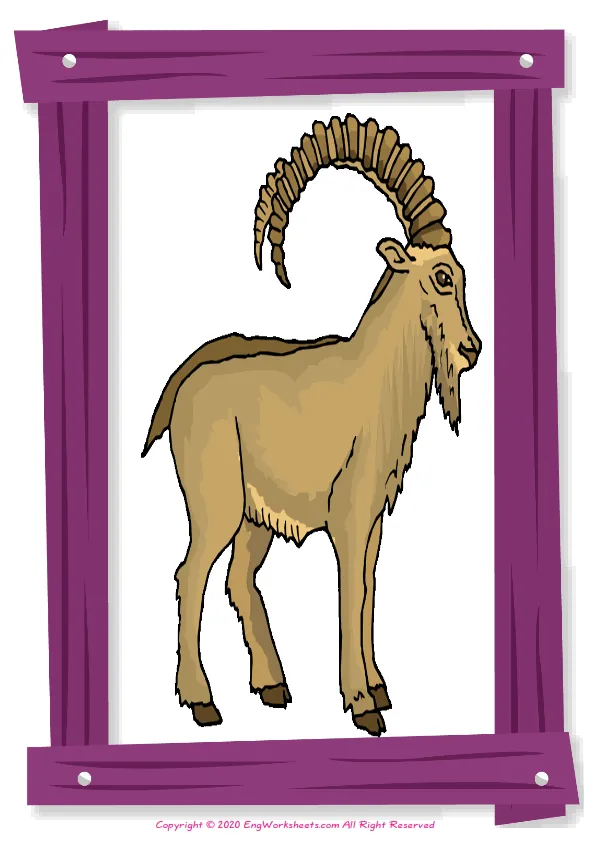 Full-page wordless Farm Animals English vocabulary worksheet