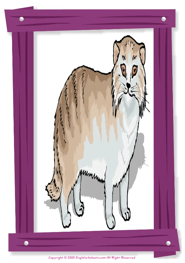 Full-page wordless Pets English vocabulary worksheet Worksheet Preview