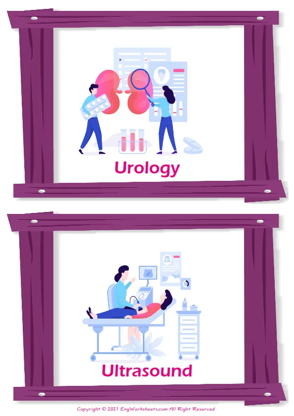 Medical Professions vocabulary worksheet with words, two images per page Worksheet Preview