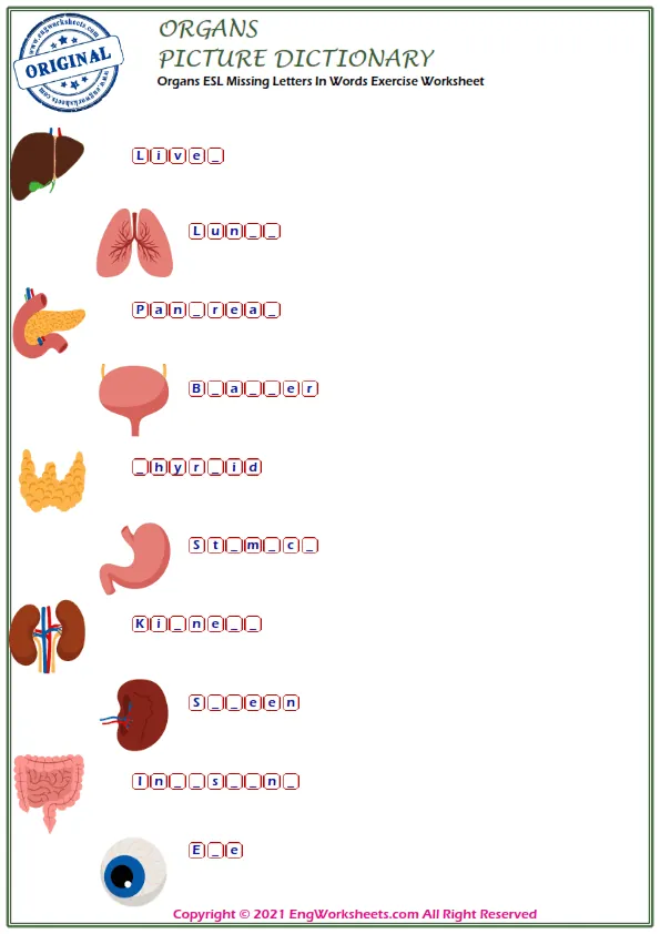 Organs ESL Missing Letters In Words Exercise Worksheet Worksheet Preview