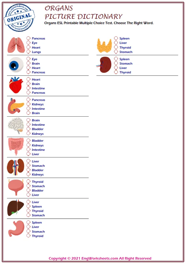 Organs ESL Printable Multiple Choice Test. Choose The Right Word.