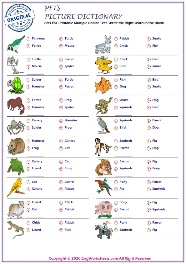 Pets ESL Printable Multiple Choice Test. Write the Right Word in the Blank.