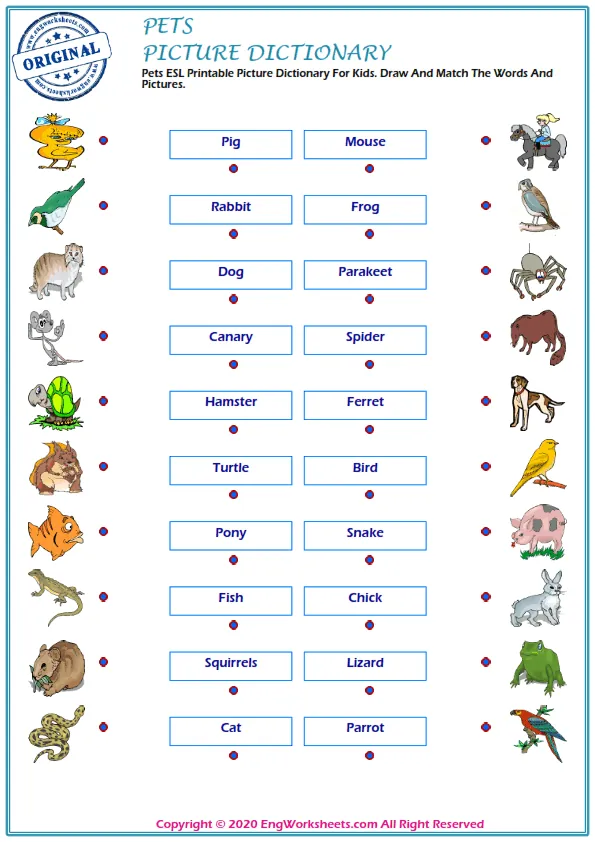 Pets ESL Printable Picture Dictionary For Kids. Draw And Match The Words And Pictures. Worksheet Preview