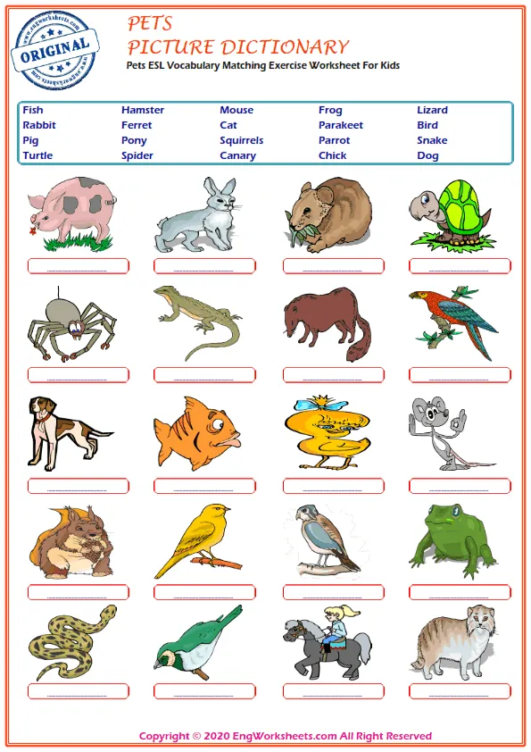 Pets ESL Vocabulary Matching Exercise Worksheet For Kids Worksheet Preview