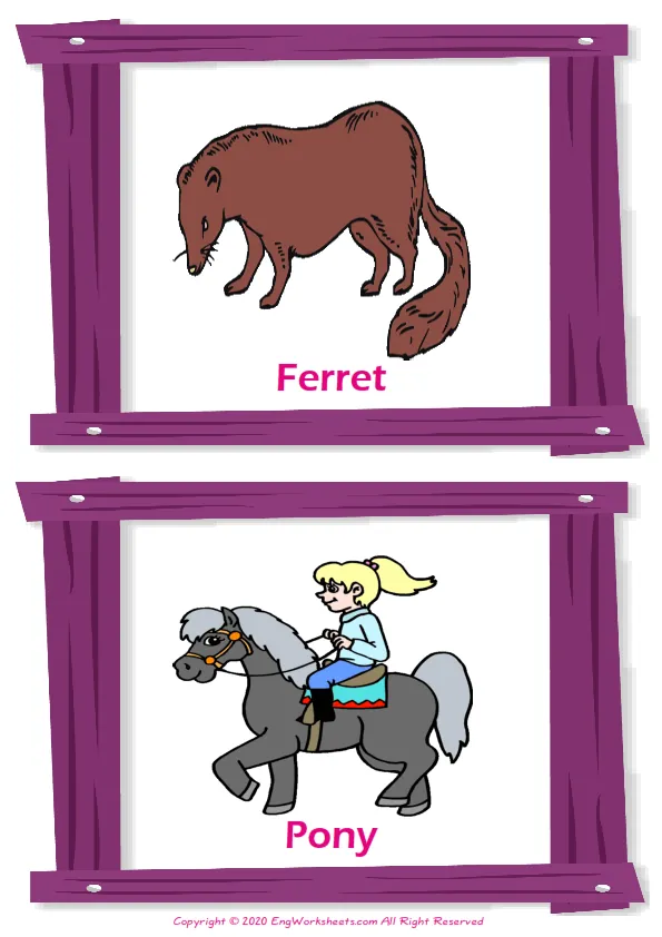 Pets vocabulary worksheet with words, two images per page Worksheet Preview