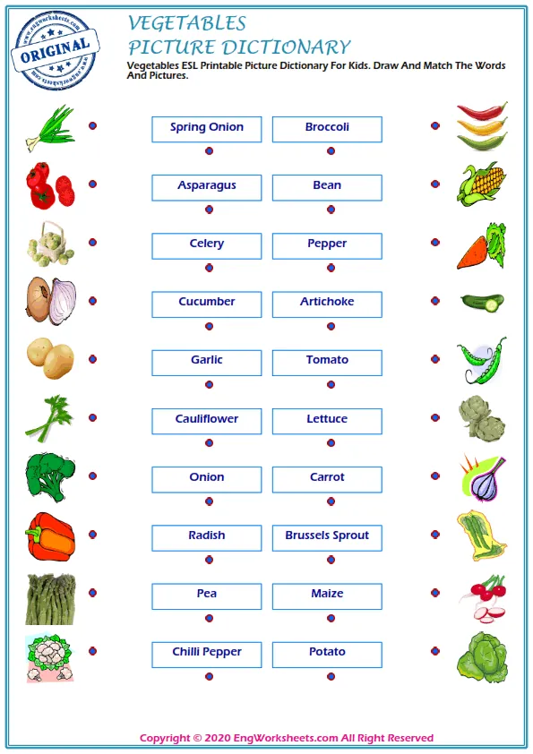 Vegetables ESL Printable Picture Dictionary For Kids. Draw And Match The Words And Pictures. Worksheet Preview