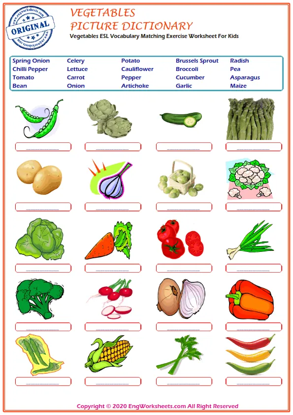 Vegetables ESL Vocabulary Matching Exercise Worksheet For Kids Worksheet Preview