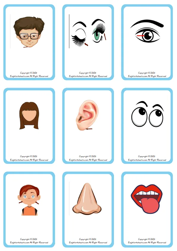Wordless Face Parts vocabulary worksheet with nine images per page