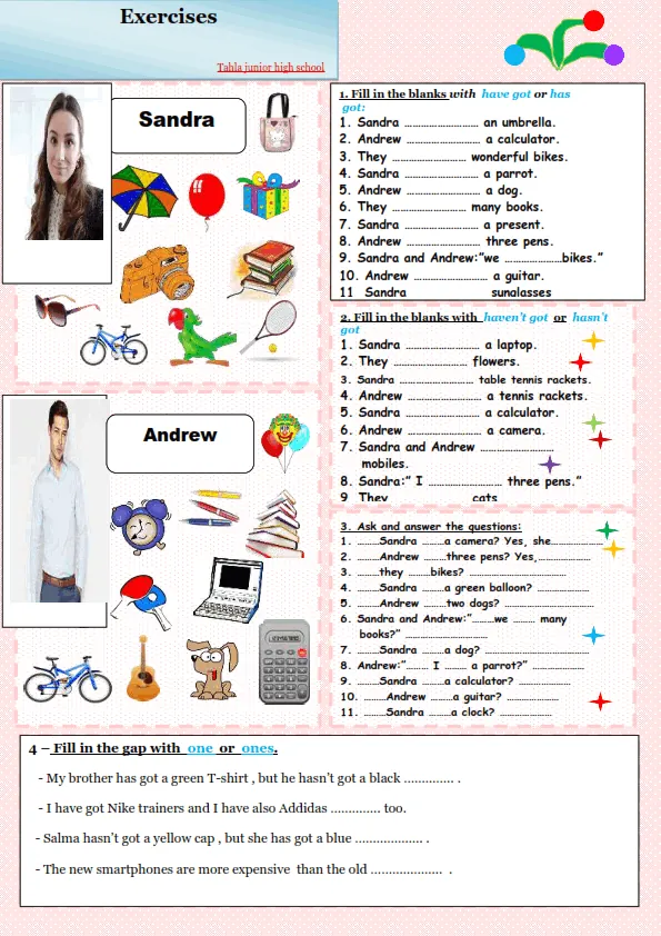 Have Got or Has Got, Haven't Got or Hasn't Got Worksheet Preview