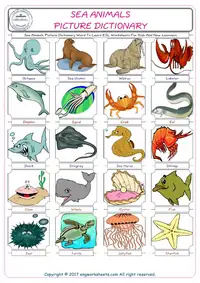 Sea Animals