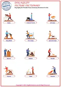 Dog Agility