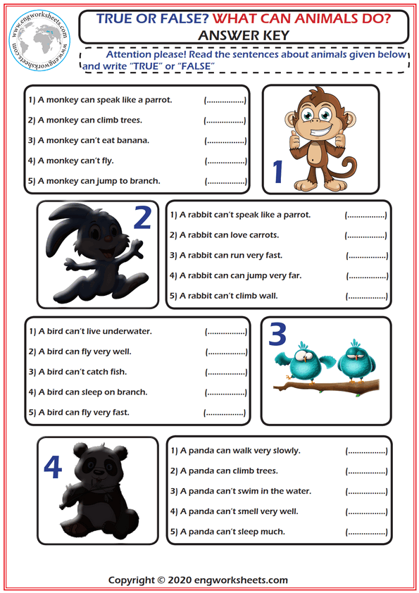  What Can Animals Do? True Or False Esl Grammar And Worksheet. 
